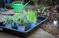 Εικόνα της Λεκάνη αποστράγγισης  λαδιού με στόμιο μαύρη 42 λίτρα Bgs