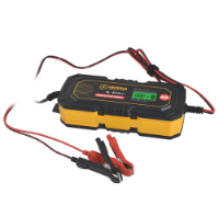 Εικόνα της Αυτόματος φορτιστής-συντηρητής μπαταριών 6/12v 6a 150Ah Imperia