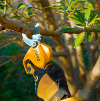 Εικόνα της Ψαλίδι Κλαδέματος Μπαταρίας 1*2.0 AH 20V Li-Ion INGCO